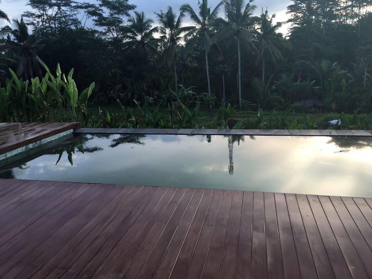 Villa Tegal Tis Ubud Payangan Exterior photo